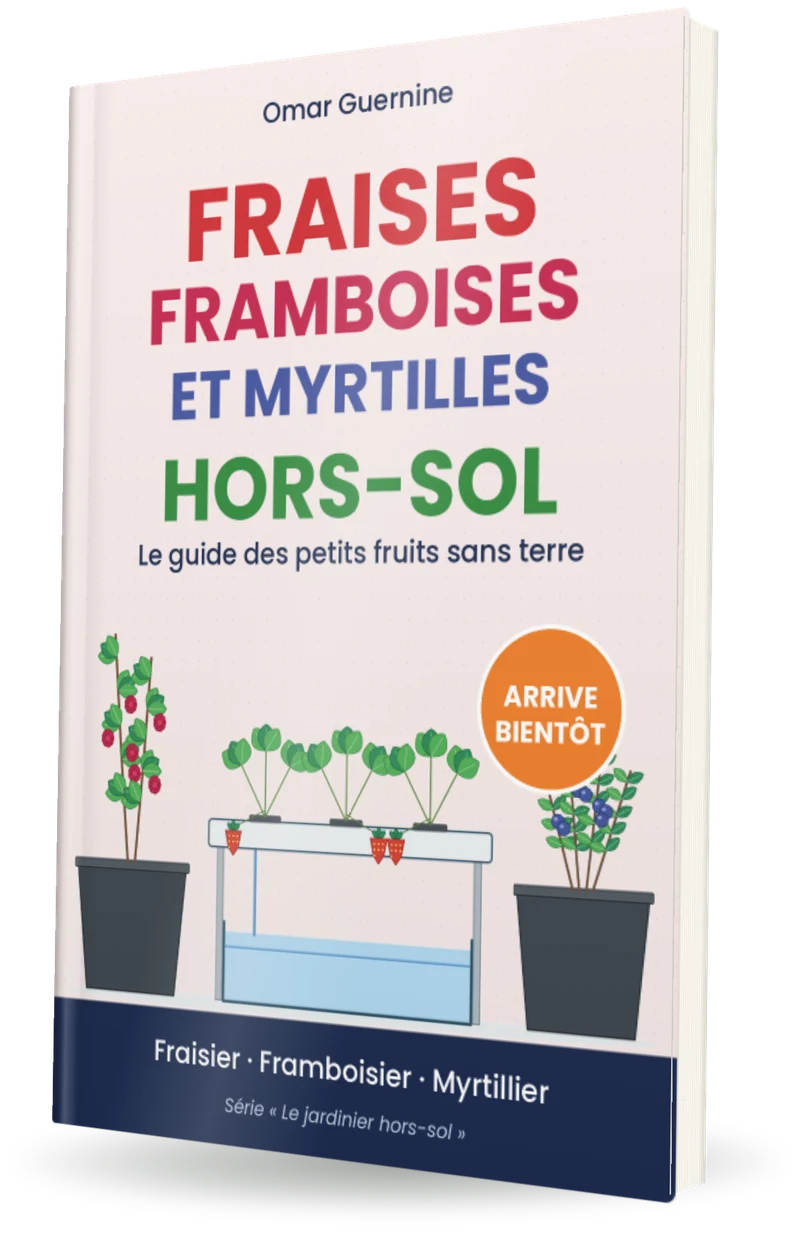 Couverture provisoire du livre Fraises, framboises et myrtilles hors-sol, d’Omar Guernine